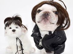 -大龙燚火锅(长寿路店)