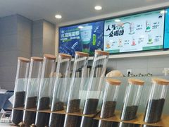 -雾与山茶(大禹城店)