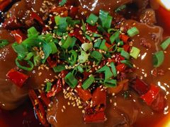 -鸡本无敌江湖菜(摩尔城店)