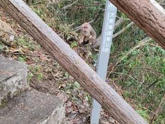 -九峰山