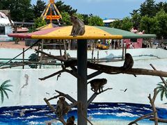 -西霞口神雕山野生动物世界