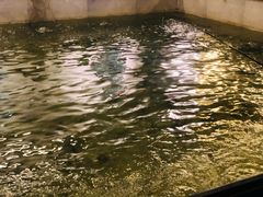 钓虾工具全套-七号码头·海鲜火锅·烧烤