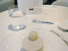 -BLACKSWAN黑天鹅(环球店)