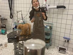 -BABIT巴比特宠物(MOMOPARK店)