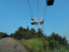 -摩天岭风景区