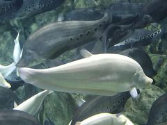 -成都浩海立方海洋公园