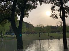 -上海方塔园