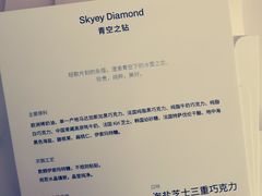 -BLACKSWAN黑天鹅(环球店)