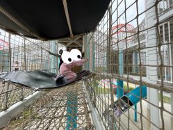 点击看大图 -季高兔窝窝亲子园(上海薰衣草公园店)