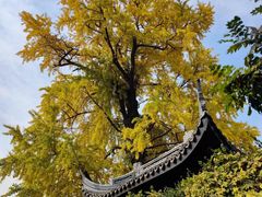 -惠山古镇·寄畅园