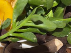 -海玥荟海鲜姿造自助餐厅(欧罗巴广场店)