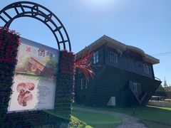 -金山农民画村-枫泾波兰倒置屋
