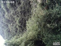 -王顺山国家森林公园