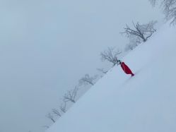 -大秃顶子山