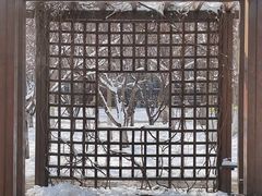 -望湖公园