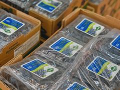 -双福水果批发市场