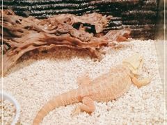 -昆明大悦城未来动物城(螺蛳湾中心店)