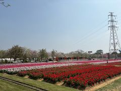 -盈香心动乐园