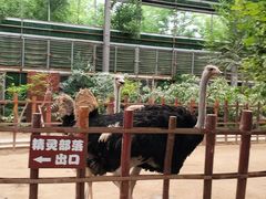 -呀路古热带植物园