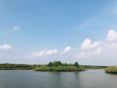 -西青郊野公园