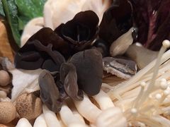 -掂档潮汕牛肉火锅(万象城店)