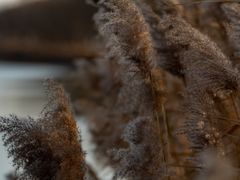 -野鸭湖国家湿地公园