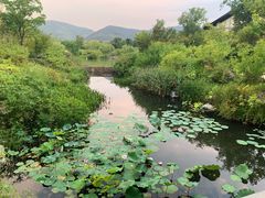 -雅达·阳羡溪山小镇中心