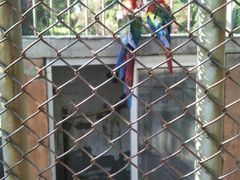 -祥源·阜阳生态乐园