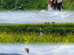-光明小镇欢乐田园