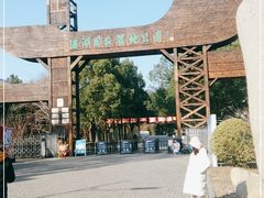 -溱湖国家湿地公园