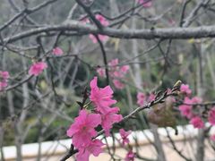-小南山公园