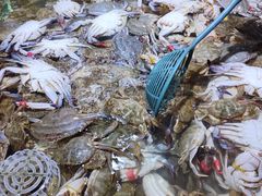 -聚盛源蒸汽海鲜火锅烤肉自助(巨川金海岸购物广场店)