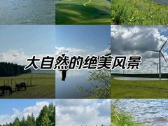 -塞罕坝国家级自然保护区