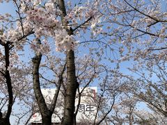-龙美术馆(西岸馆)