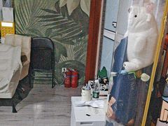-剧狐剧本杀·月球探案馆(人民广场1号店)