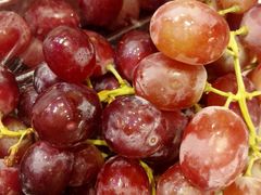 -PAGODA百果园(深圳天琴阁店)