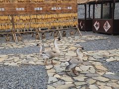 -高荡千年布依古寨旅游景区