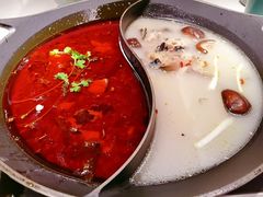 红汤梭边鱼锅-新辣道鱼火锅(西直门店)
