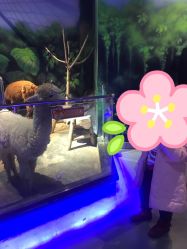 -未来动物城动物主题公园(大悦城店)
