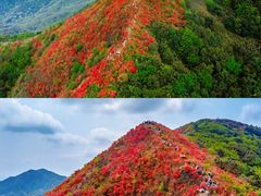 -梧桐山风景名胜区