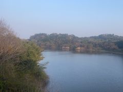 -福建鲤鱼洲酒店