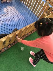 -萌宠亲子动物乐园(槐房万达店)