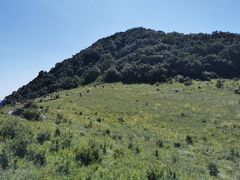 -白草畔自然风景区