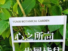 -云溪植物园