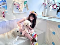 -汪说·狗咖·拼豆·宠物周边DIY(旺城大厦店)
