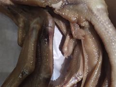 -宜昌富力皇冠假日酒店·咖啡1号西餐厅