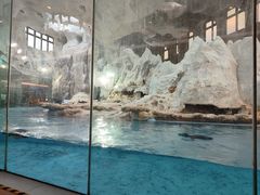 -帝企鹅自助餐厅•儿童岛•真企鹅(长隆企鹅酒店)