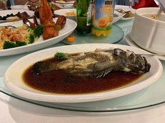 -上海新锦江大酒店