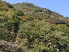 -洛阳花果山景区