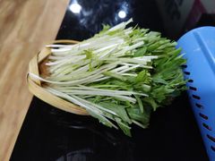 金丝菜-藏味八珍特色火锅